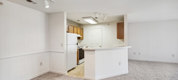 Classic Kitchen and Living area Carpet at Weston Circle and Wicklow Square Apartments in Fredericksburg VA