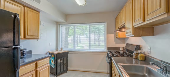 Kitchen with overhead lighitng at Leesburg Apartments in Leesburg VA