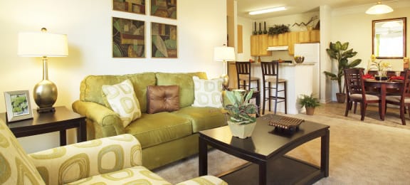 Living room at Magnolia Point Apartments in Durham, NC