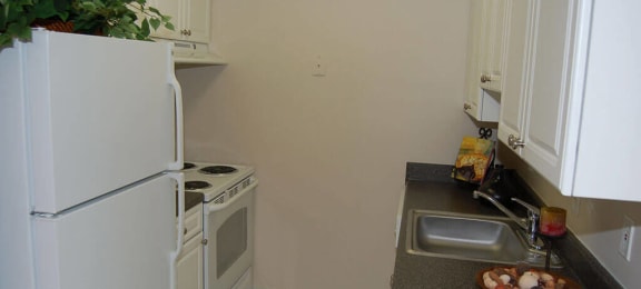 kitchens at Brentwood Apartment Homes in Manassas, VA