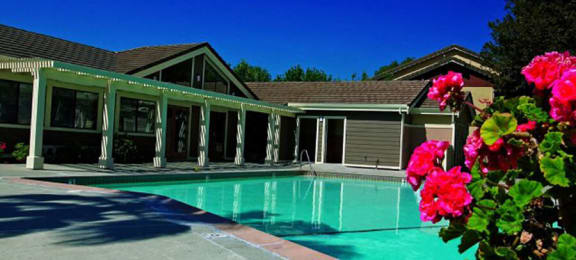 pool at Belmont Apartment Homes in Pittsburg, CA