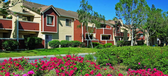 landscaping at Belmont Apartment Homes in Pittsburg, CA