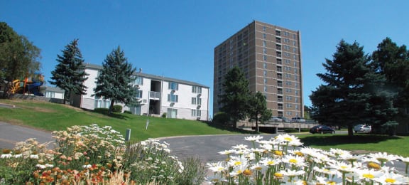 open green space at  Ridgemoor Apartment Homes in Lakewood, CO
