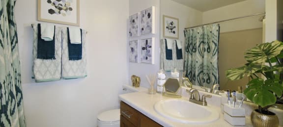 Bathroom at Emerson Apartments in Ann Arbor, MI