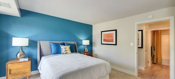 Two-Bedroom Apartments in Sunnyvale, CA- Citra- Wall-to-Wall Carpet, Connected Bathroom, and Blue Accent Wall