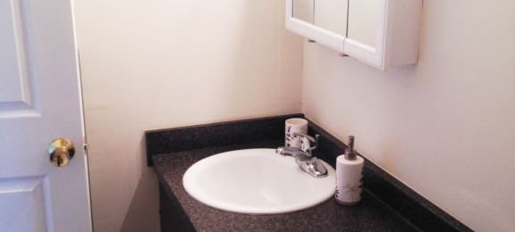Spacious Bathroom in East Lansing Apartments near Michigan State University | The Lodges