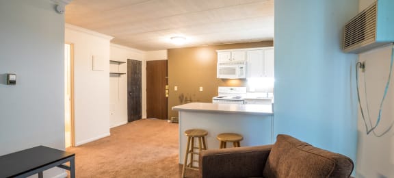 Spacious Kitchen and Living room in East Lansing Apartments near Michigan State University | Woodmere