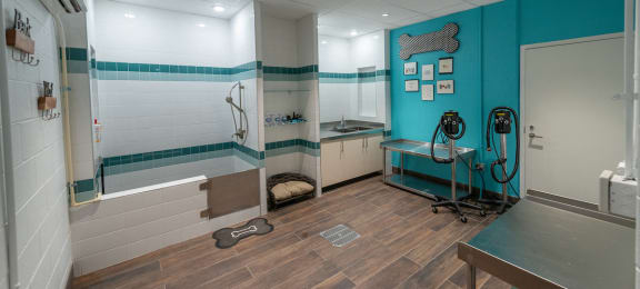 Pet Spa and Pampering Station at The Pearl, Silver Spring