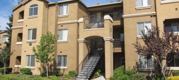 Roseville Apartments- Pinnacle at Galleria- Landscaping outside Apartment Building with Walkway