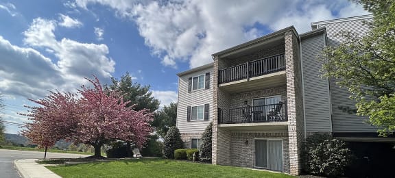 Photos and Video of Society Hill in Camp Hill PA