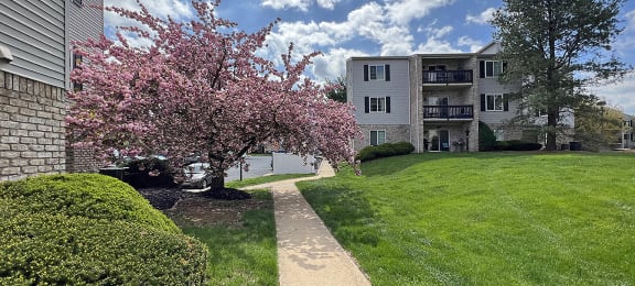 Photos and Video of Society Hill in Camp Hill PA