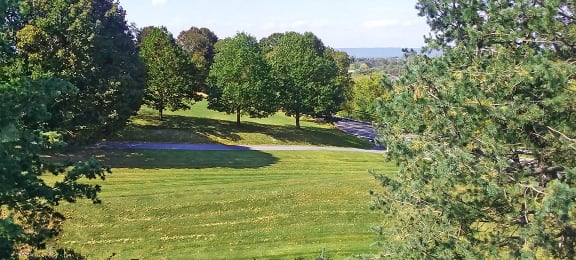Photos and Video of Society Hill in Camp Hill PA
