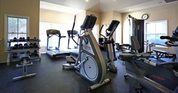 the gym has plenty of equipment for everyone to use