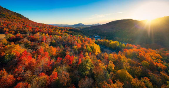 the sun shining on the colorful trees in the autumn forest