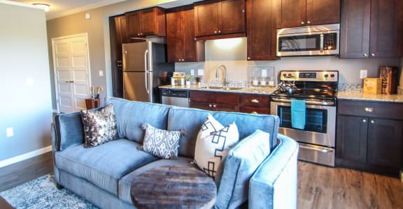 Living And Kitchen at Victoria Park and V2 Apartments, Minnesota