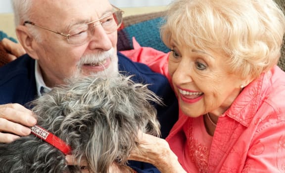 elderly couple enjoying pet-friendly apartments