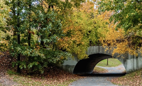 a bridge over a path in a park with trees
