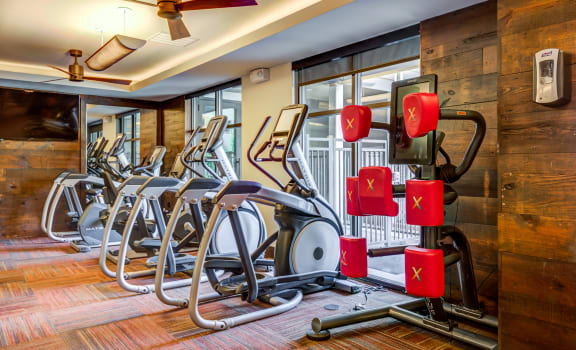 a row of exercise bikes in a fitness room with windows