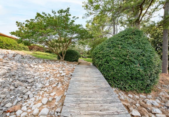 a wooden path with rocks and trees on either side