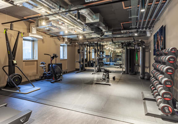 a gym with weights and dumbbells on the floor and a wall of mirrors