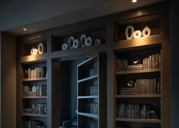 a dark room with bookshelves and a doorway