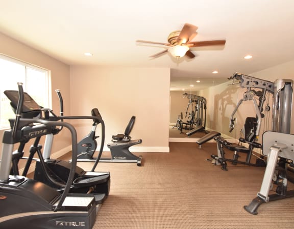 exercise equipment in the fitness room at the retreat at thousand oaks apartments