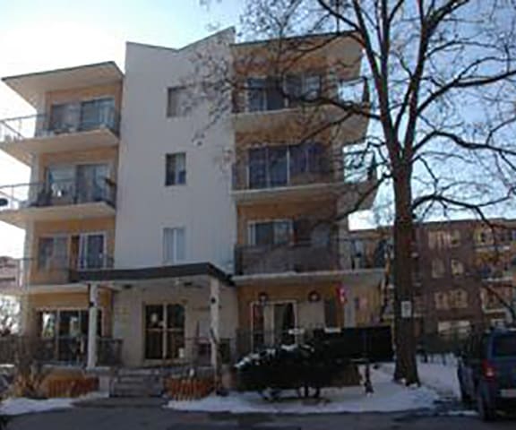 Mascot Place property image
