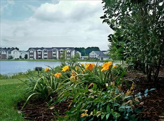 Village on the Lake Apartments property image