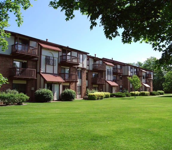 Madeira Apartments property image