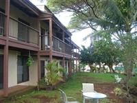 Coconut Inn property image