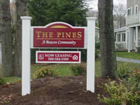 The Pines property image