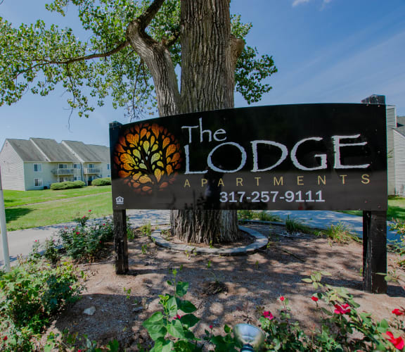 The Lodge Apartments property image