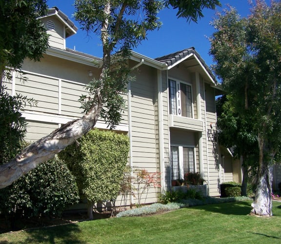 Juniper Senior Apartments Sister Properties