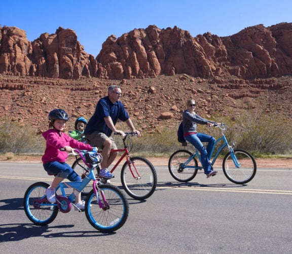 Family biking on road