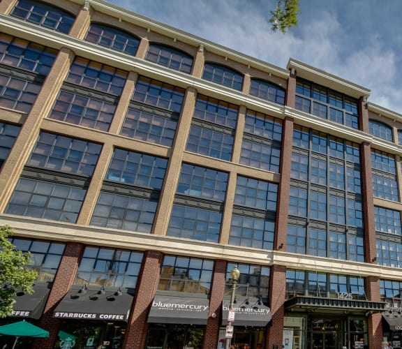 The Brody Sister Properties