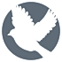 A white dove in flight is centered in a circle.