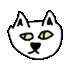 a white cat face with a black nose and eyes