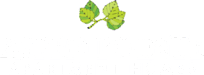 A green leaf is in front of the text "Open Point Apartments".