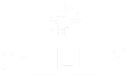 A black and white logo with the word "POLICY" in the center.