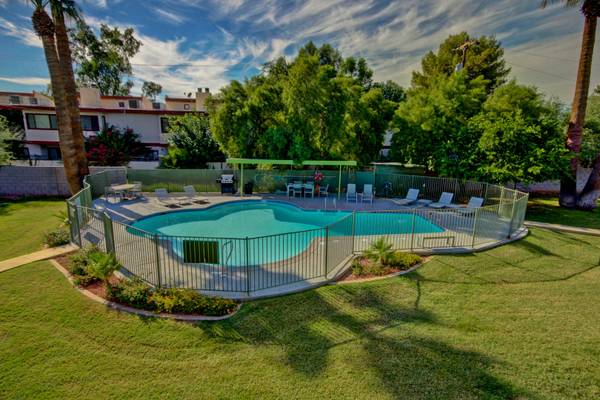 Pool and poolside area at Osborn Place.