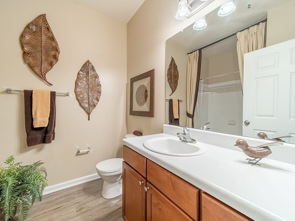 Rose Heights Apartments community amenity photo - Raleigh, NC