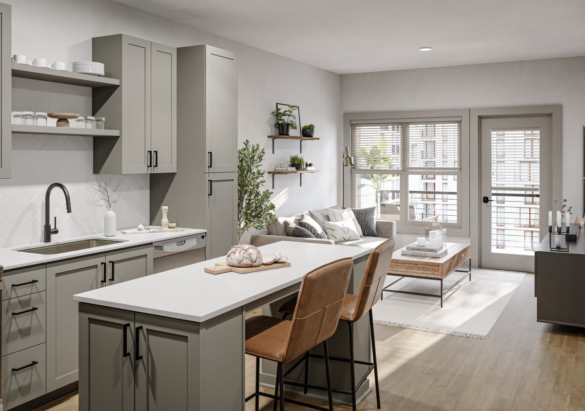 Apartments for Rent in South End Charlotte South & Hollis