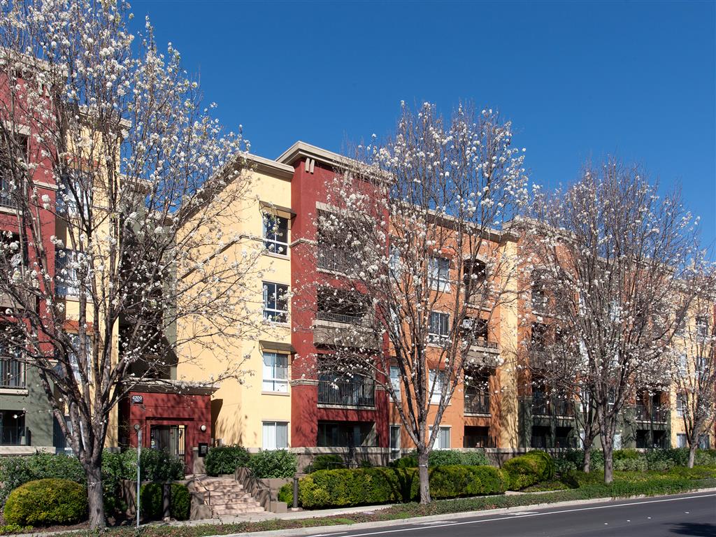 Photos and Video of Waterford Place in Dublin, CA