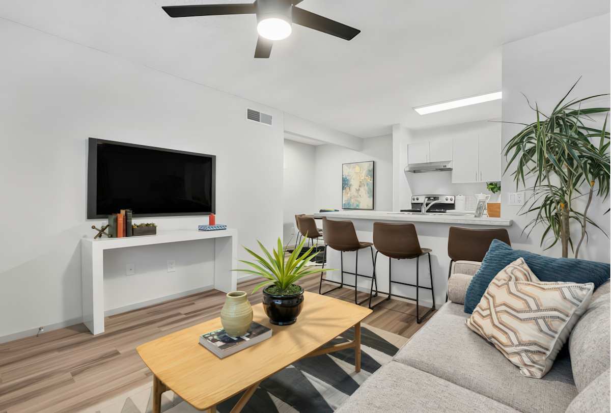 Furnished apartment living area shown — representative home at The Halifax.