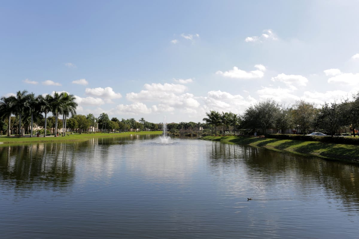 Photos and Video of Aventine at Miramar Apartments in Miramar, FL