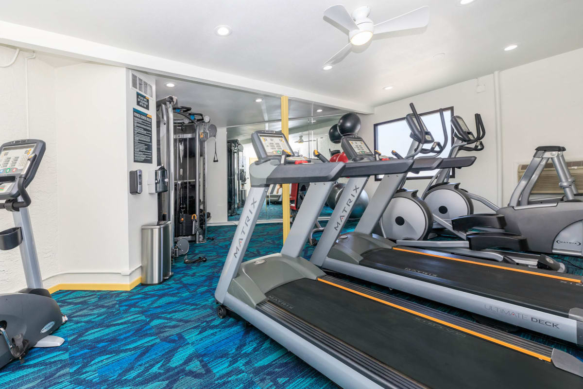 Fitness room at Ascent 1829.