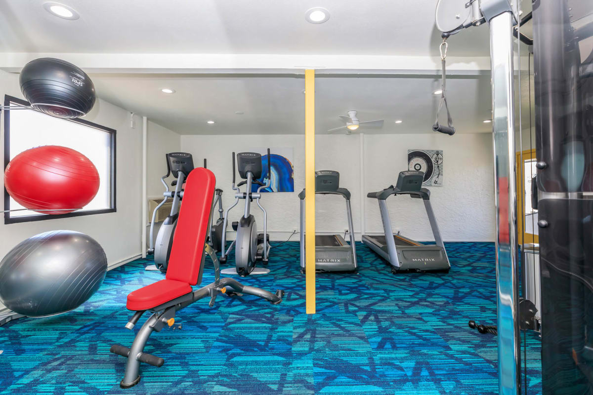 Fitness room at Ascent 1829.