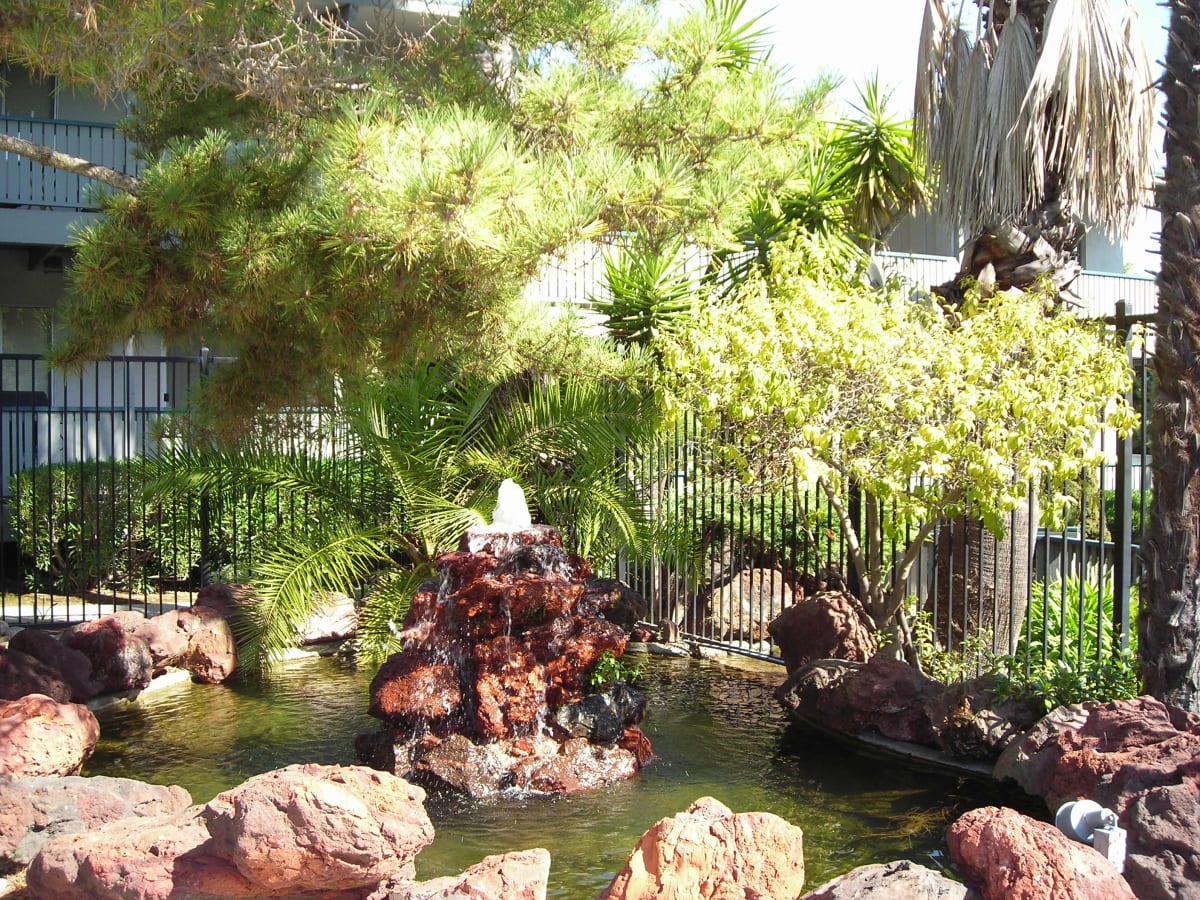 Photos and Video of Walnut Hills Apartments in Hayward, CA