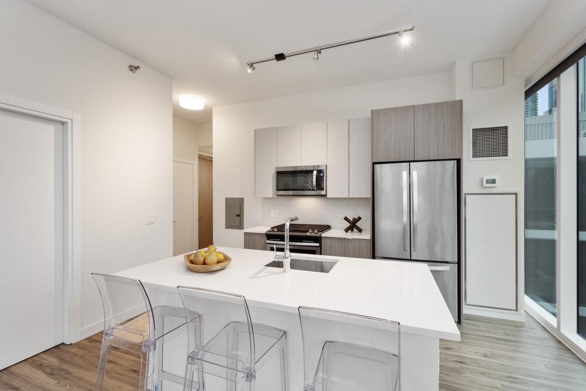 1407 on Michigan kitchen with stainless steel refrigerator - Chicago, IL