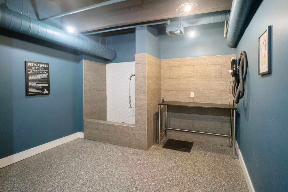 Peyton Stakes pet spa dog wash station - Nashville, TN